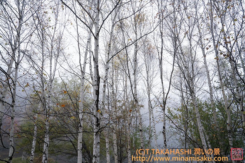 ../Images/7R251026 (254).jpg